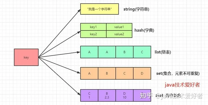常见的数据类型