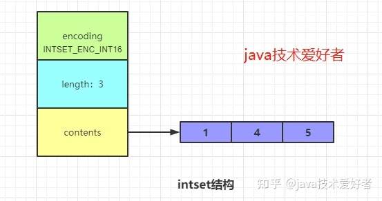 intset 结构